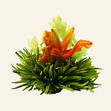Fleurs de thé Blossom Diamond – 8 pièces – photo du produit