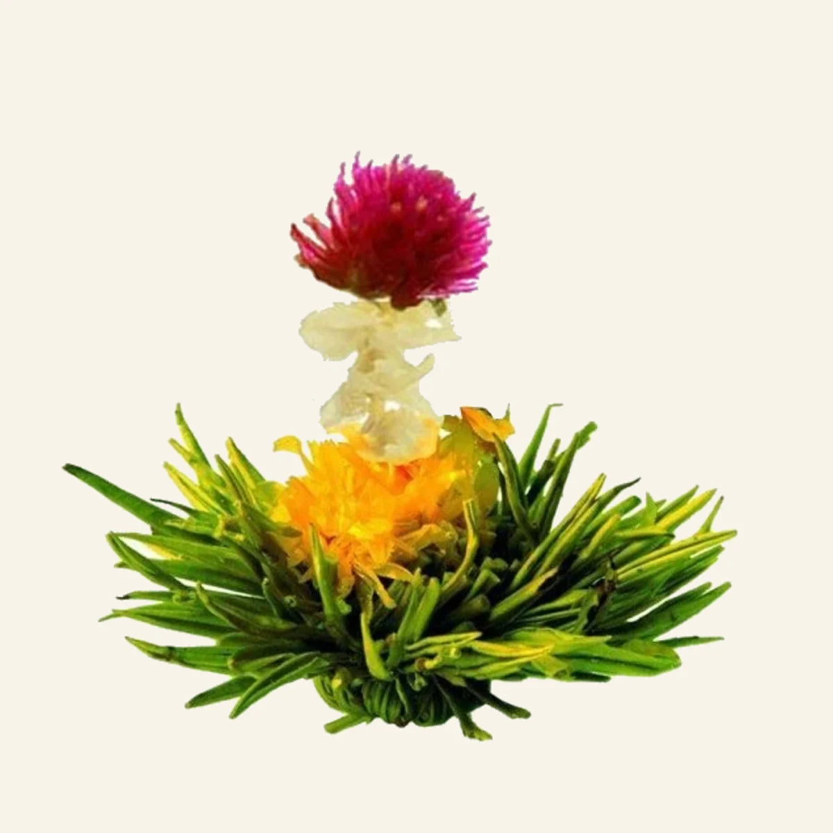 Fleurs de thé Flora Breeze – 8 pièces – photo du produit