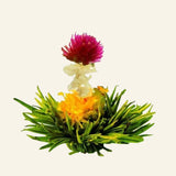 Fleurs de thé Flora Breeze – 8 pièces – photo du produit