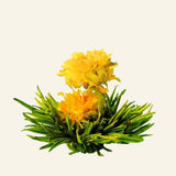 Fleurs de thé Golden Tower – 8 pièces – photo du produit