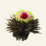 Fleurs de thé Phoenix Eye – 8 pièces – photo du produit