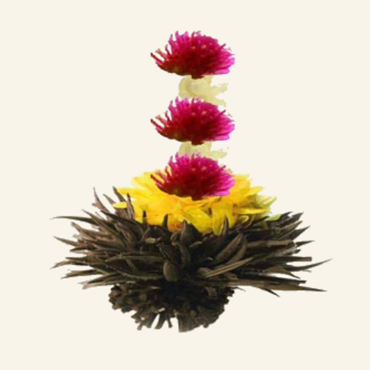 Fleurs de thé Rising Sun – 8 pièces – photo du produit