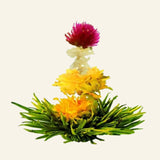 Fleurs de thé Spring Melody – 8 pièces – photo du produit