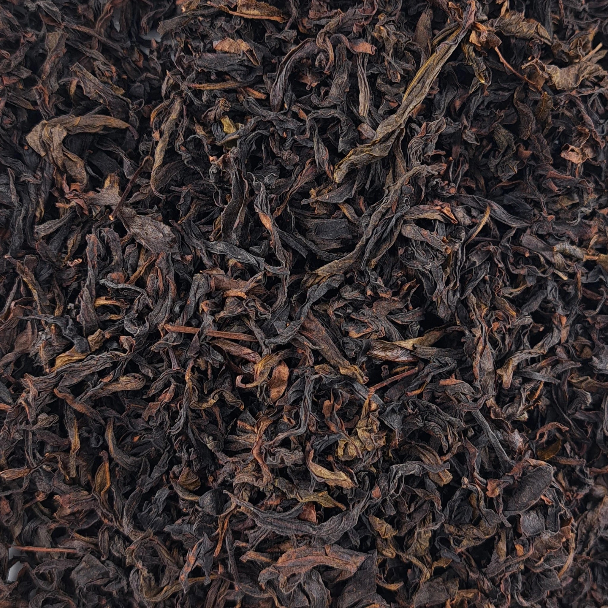 Thé oolong Qing Xin Alishan Competition Fine Grade – thé en vrac en gros plan