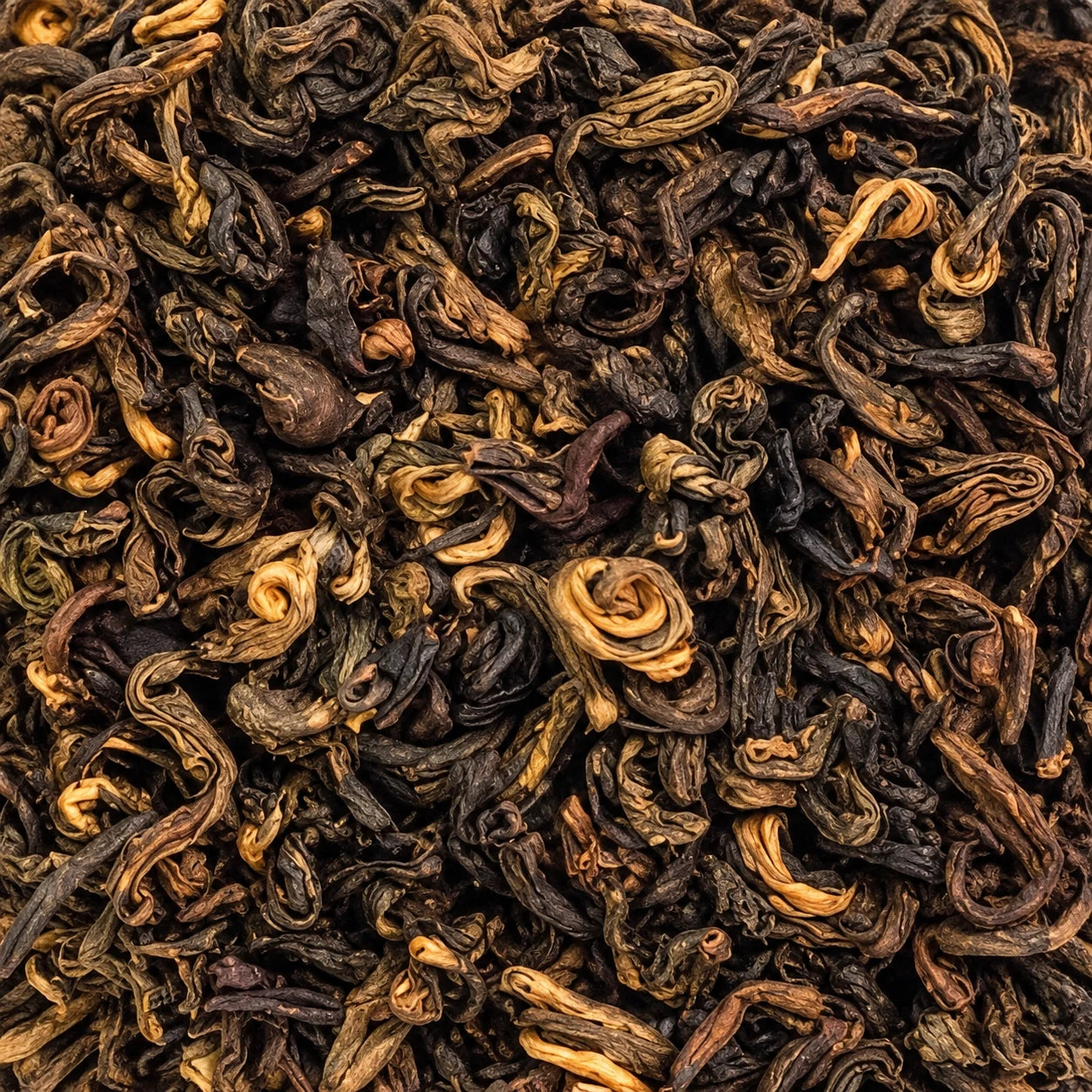 China Oolong Muscatel Dragonheart BIO – thé en vrac en gros plan
