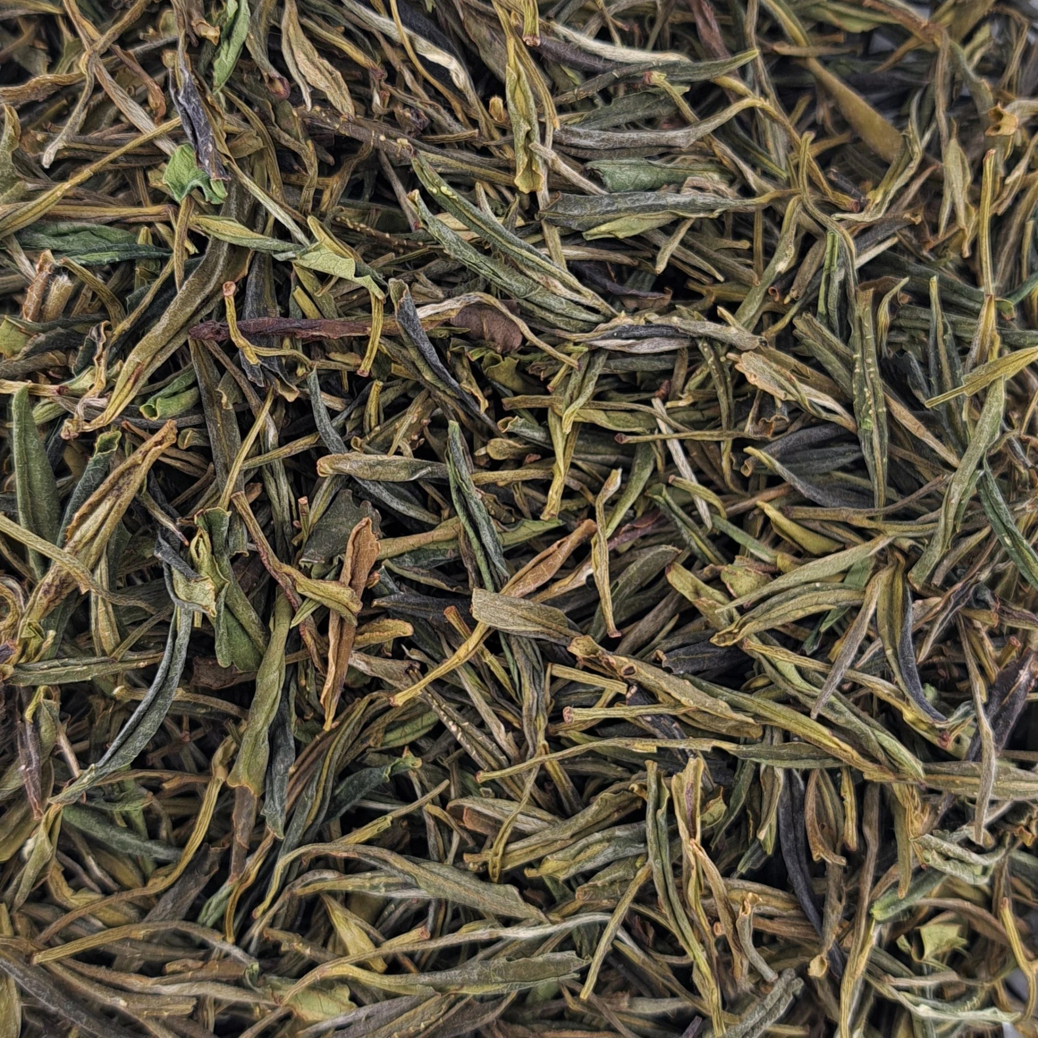 Thé jaune Huoshan Yellow Bud Spring – thé en vrac en gros plan