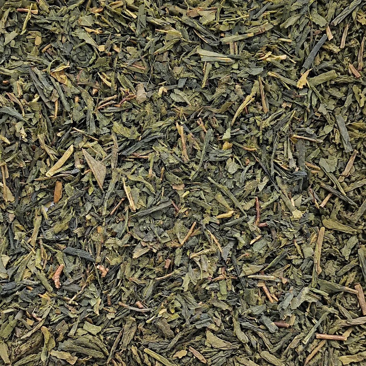 Thé vert Sencha Special BIO – thé en vrac en gros plan