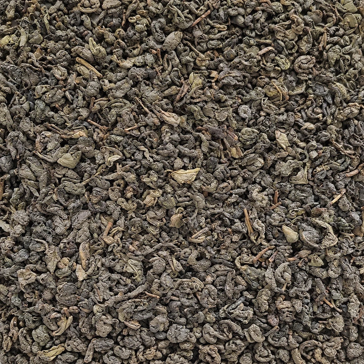 Thé vert Gunpowder – thé en vrac en gros plan