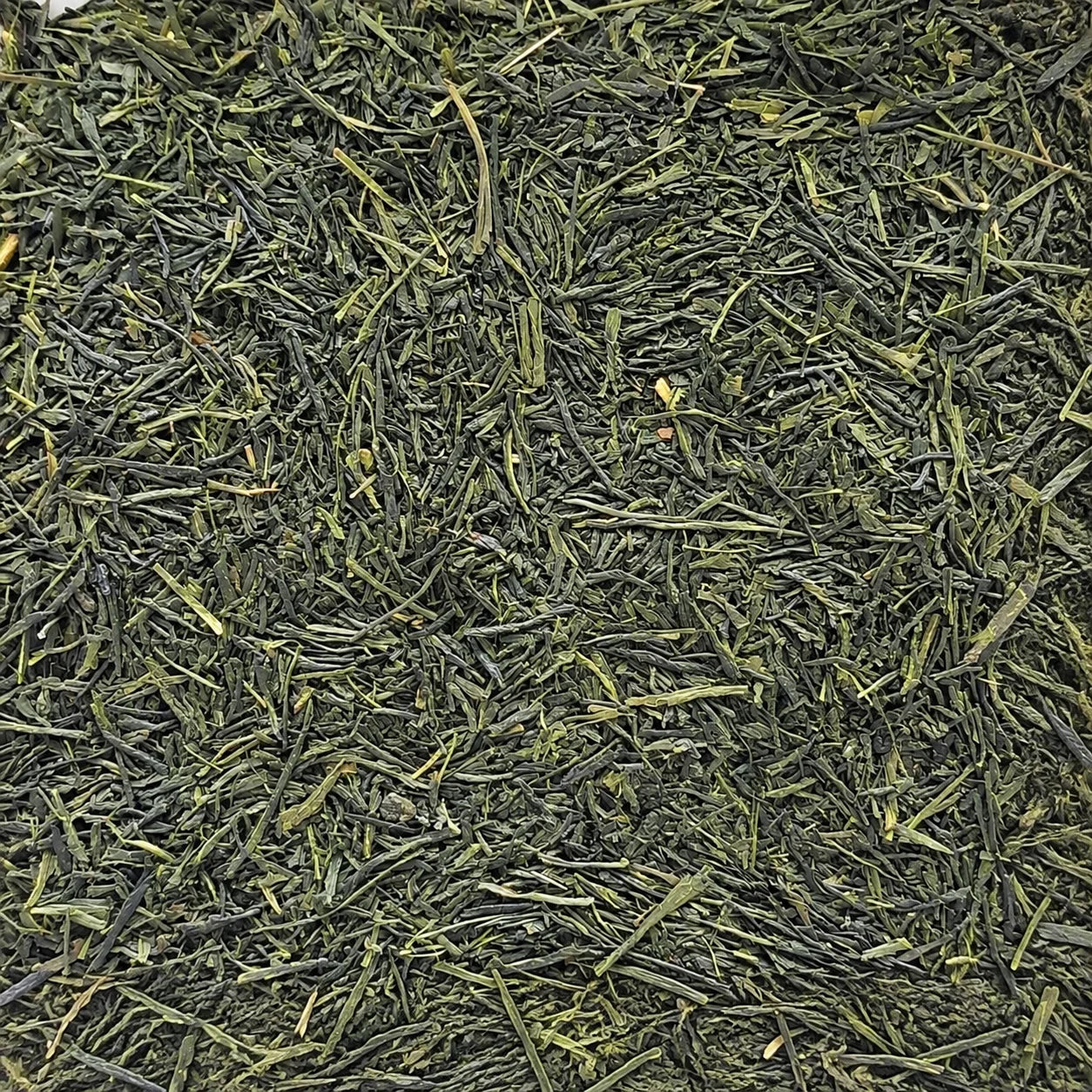 Thé vert Gyokuro Kusanagi Kagoshima BIO – thé en vrac en gros plan