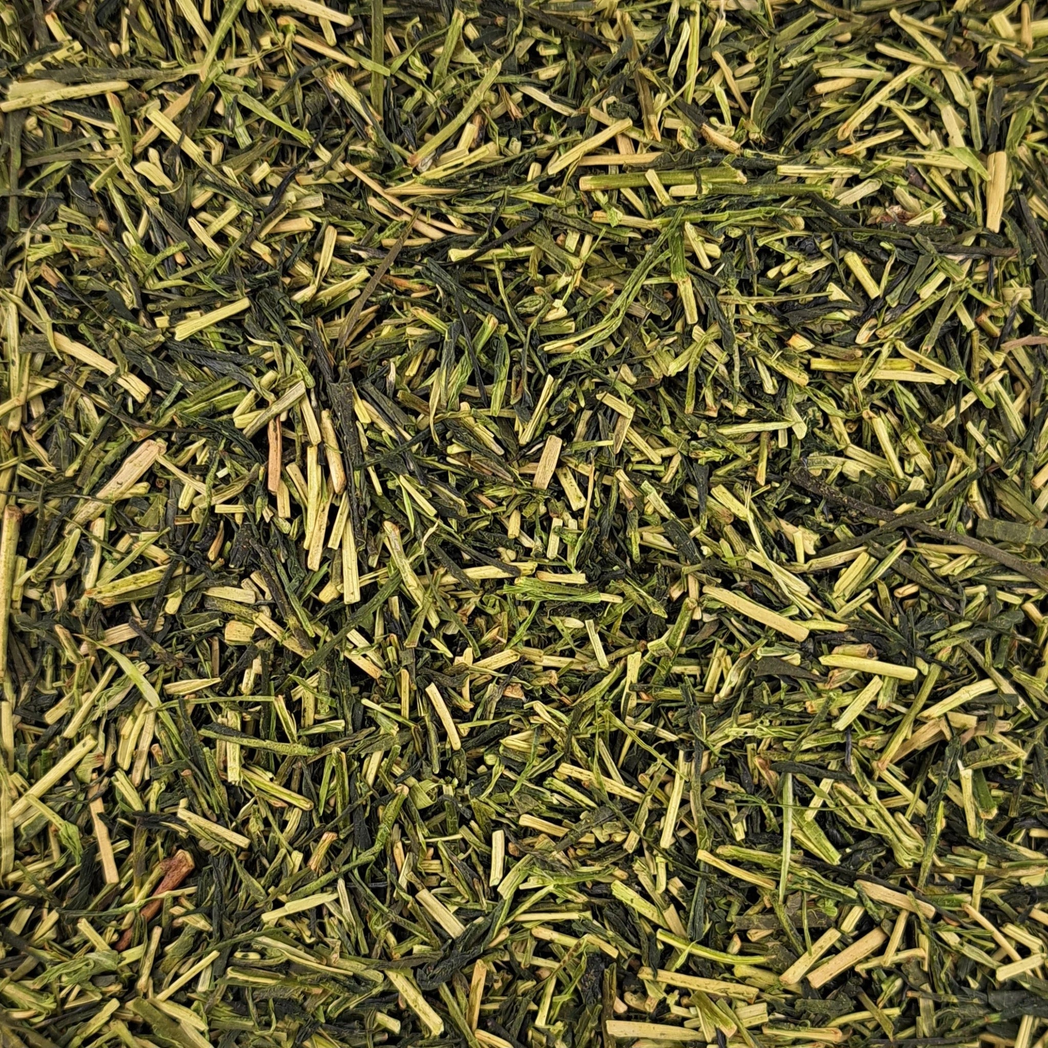 Thé vert Kagoshima Kukicha First flush – thé en vrac en gros plan