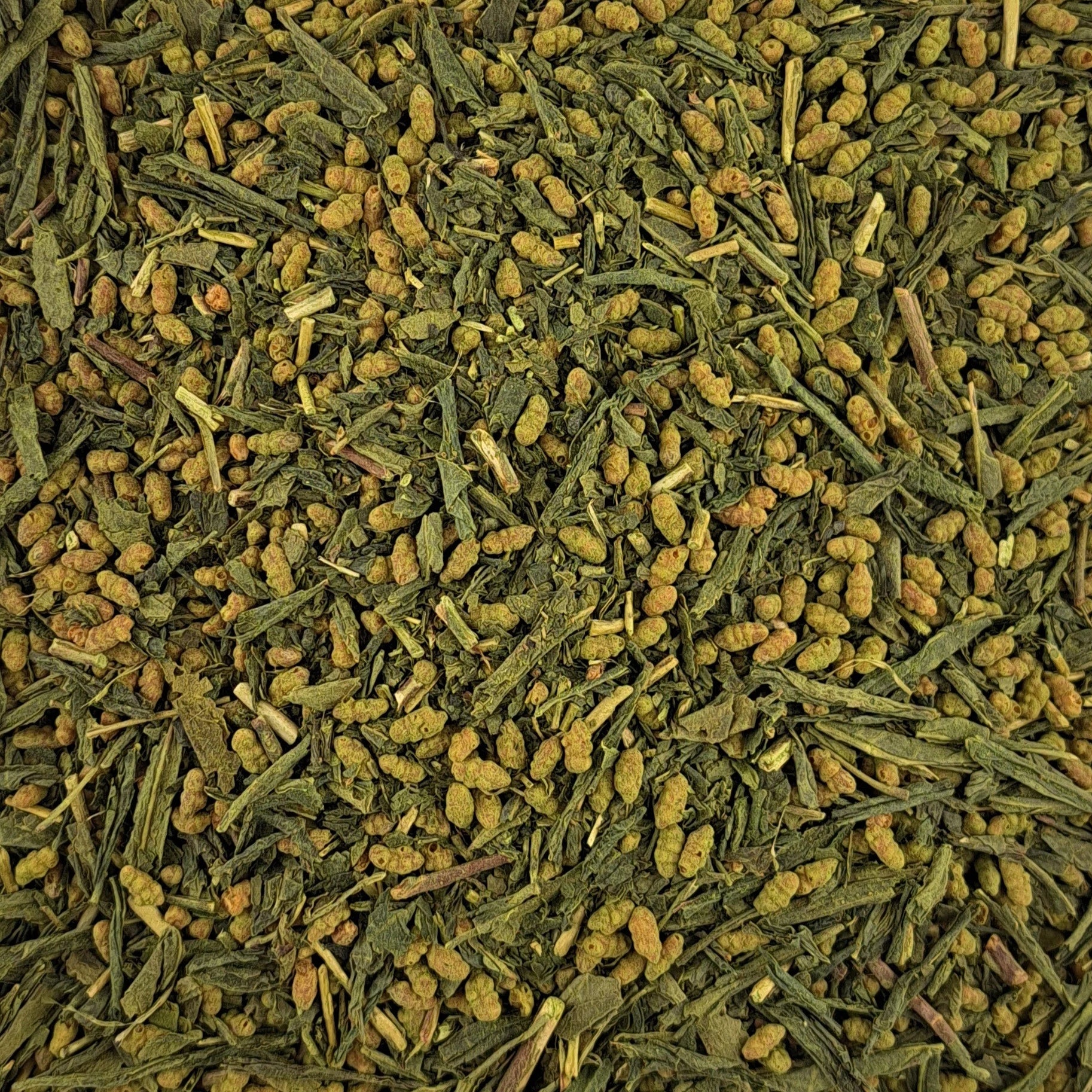 Thé vert Kagoshima Matcha Genmaicha Première récolte – thé en vrac en gros plan