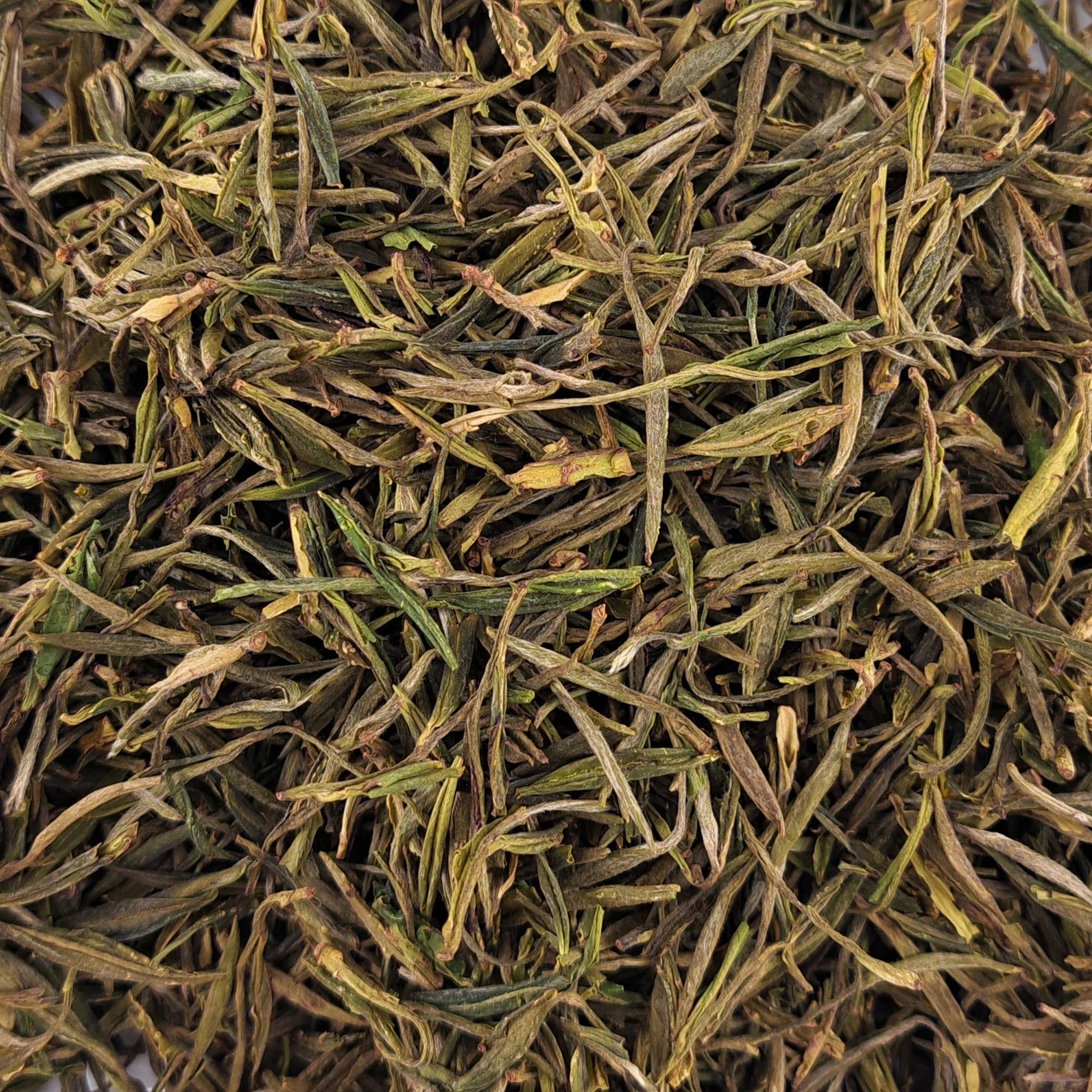 Thé vert Huang Shan Mao Feng Premium – thé en vrac en gros plan