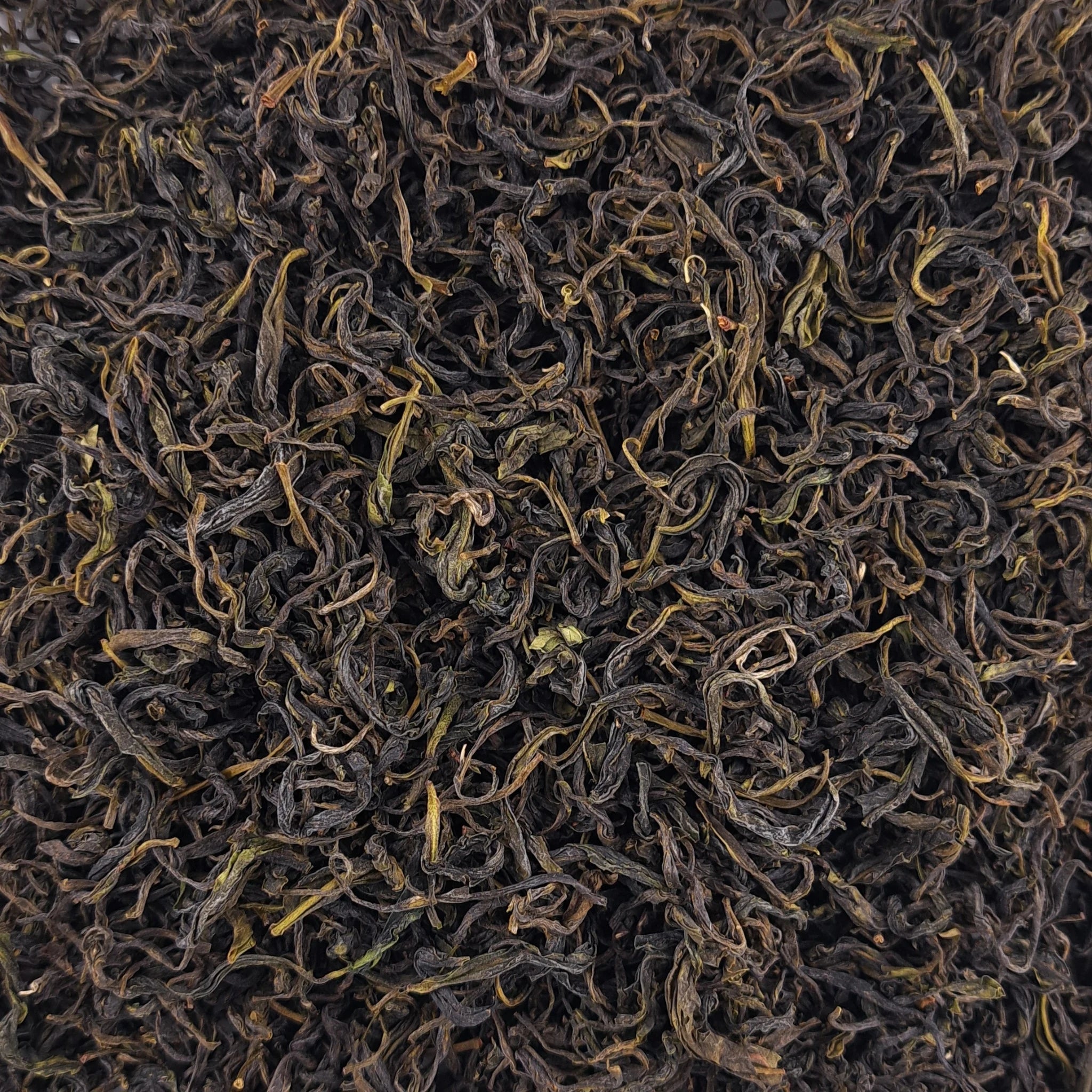 Thé vert Huangshan Yun Wu Spring – thé en vrac en gros plan