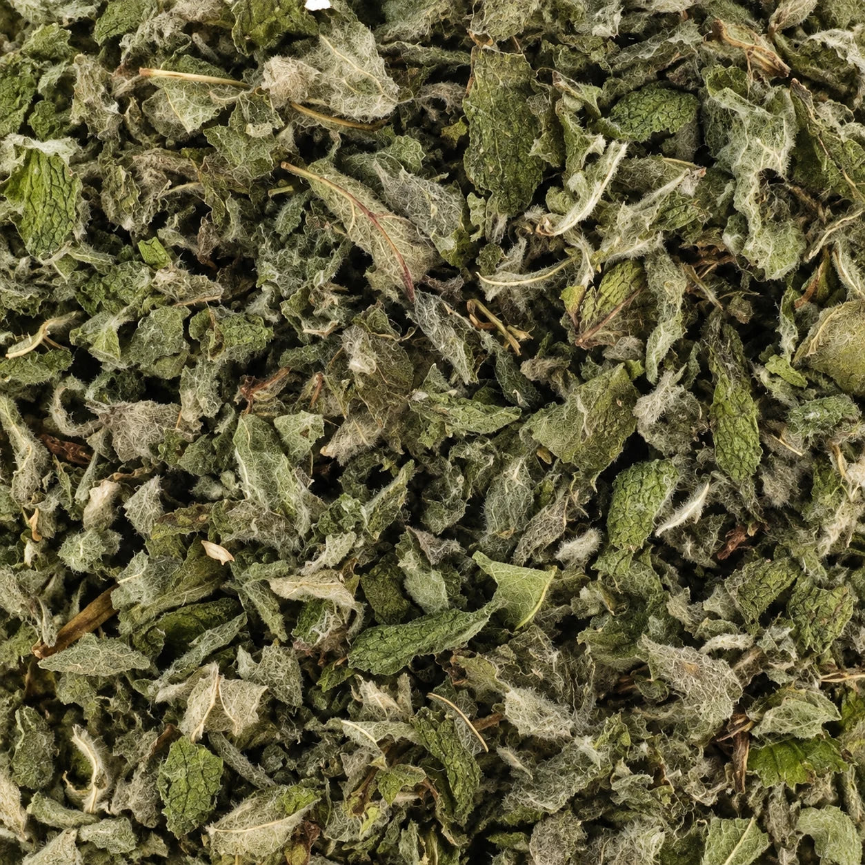 Tisane Menthe pomme BIO – thé en vrac en gros plan