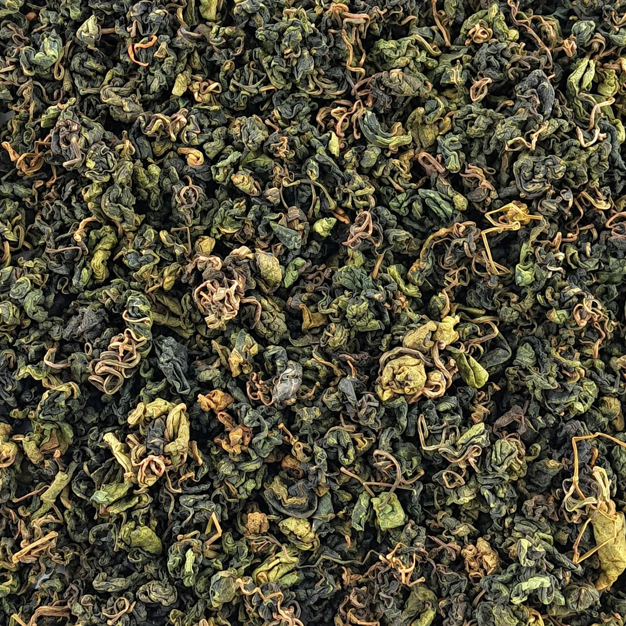 Tisane Jiaogulan – image produit 2