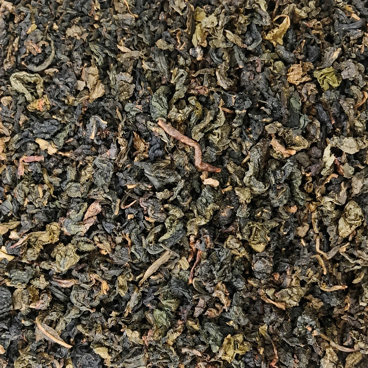 Milky Oolong BIO – thé en vrac en gros plan