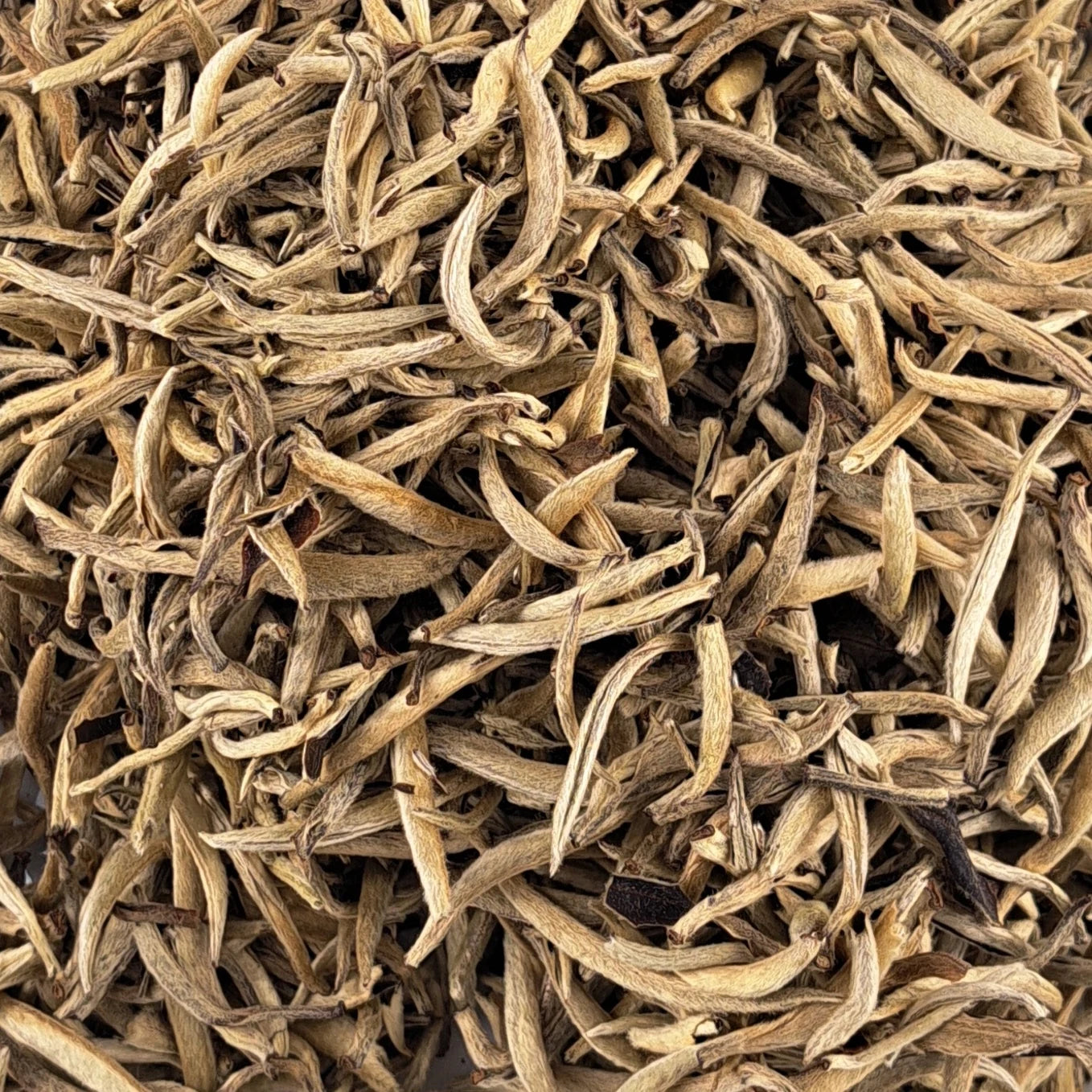 Moonlight White pu erh Buds High Grade – thé en vrac en gros plan