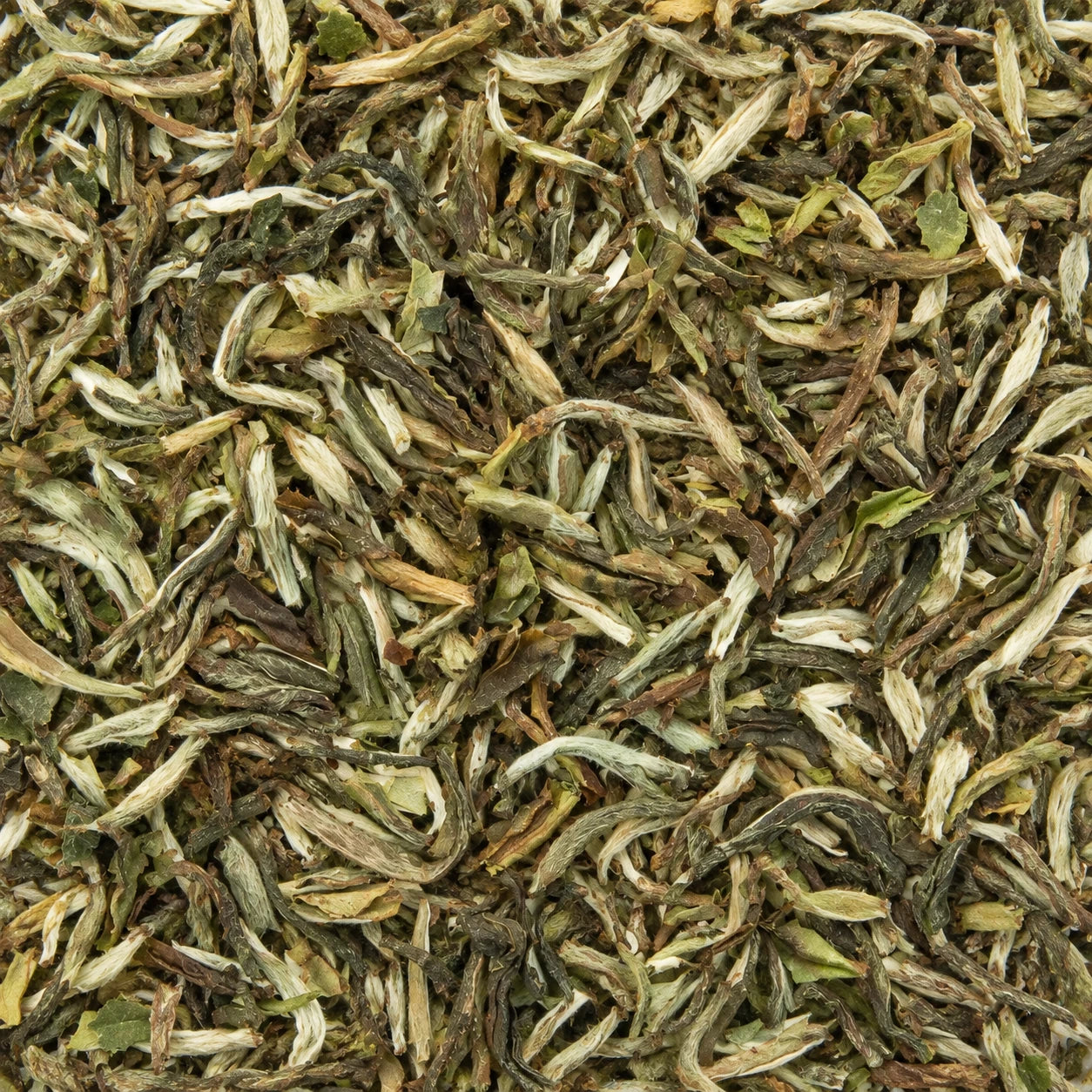 Thé oolong Himalaya Mystic Kingdom BIO – image produit 2