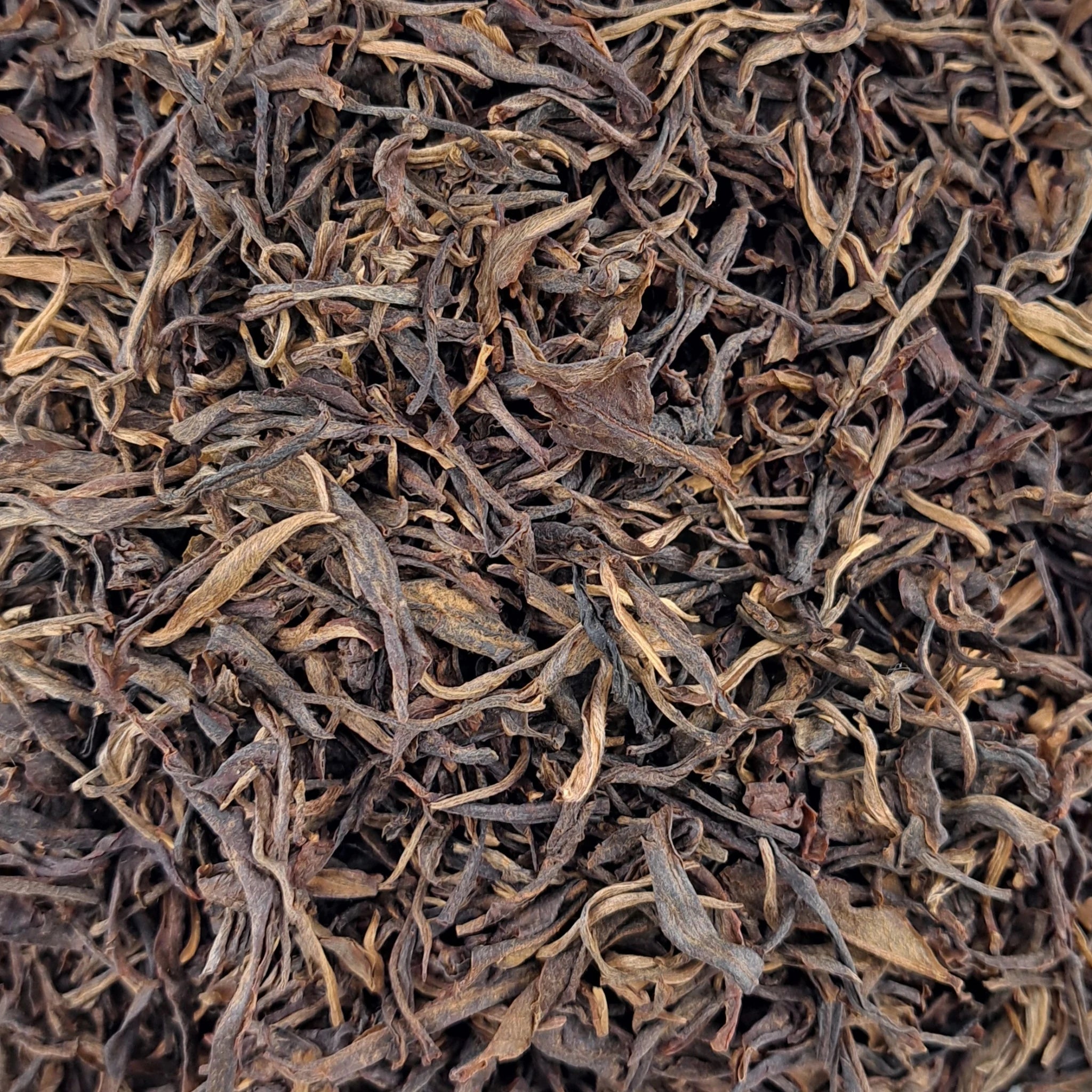 Pasha Raw Pu erh 2013 (vieil arbre) – thé en vrac en gros plan