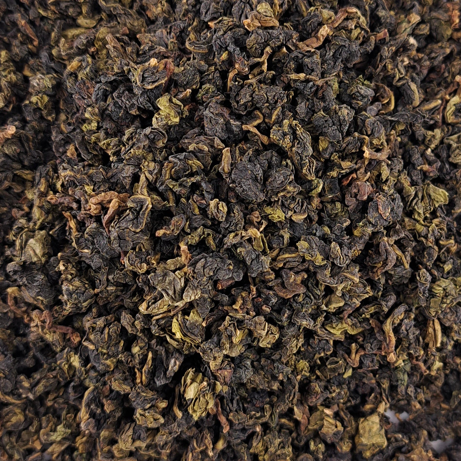Thé Oolong Taiwan Jin Xuan – thé en vrac en gros plan