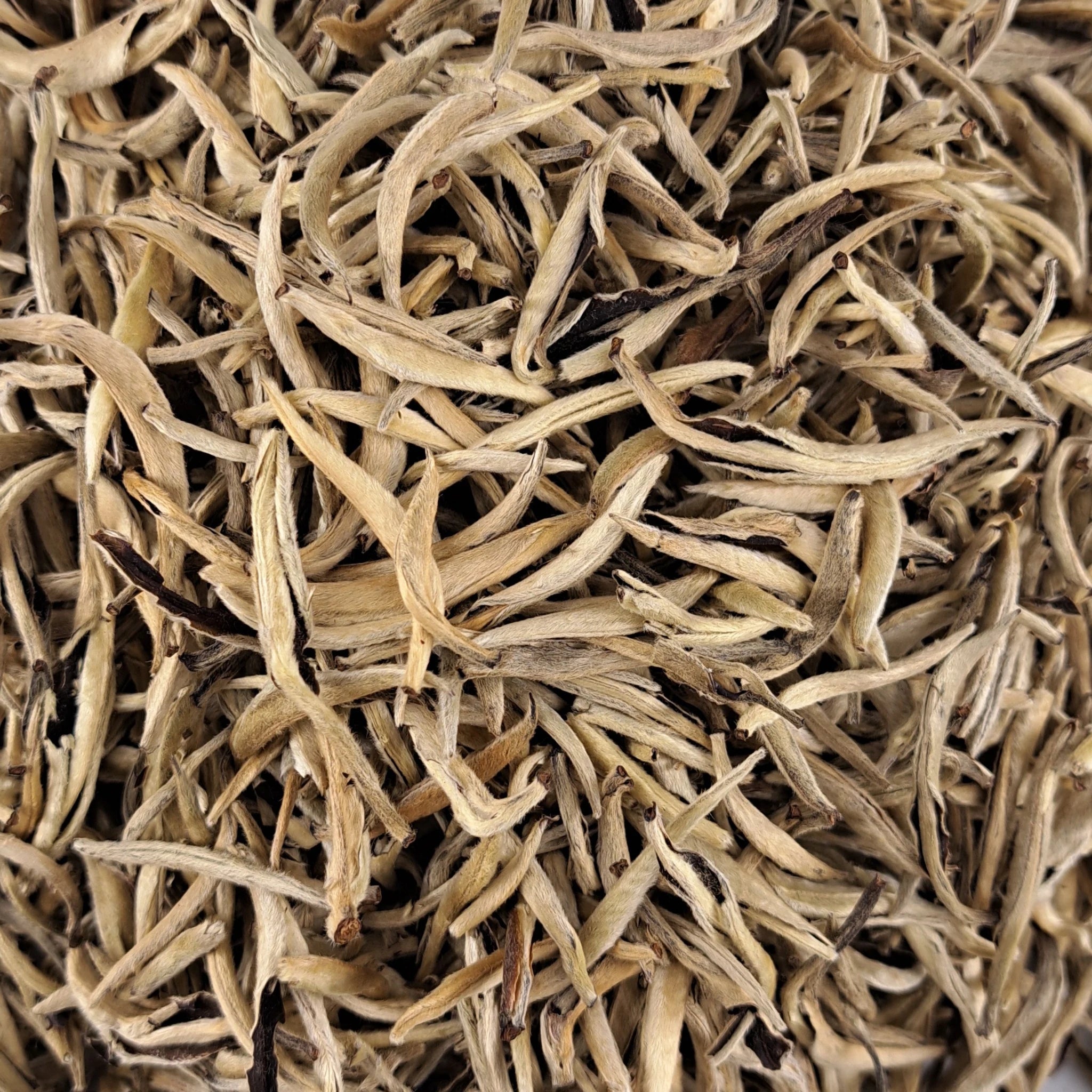 Thé blanc White Silver Needle First Flush – thé en vrac en gros plan