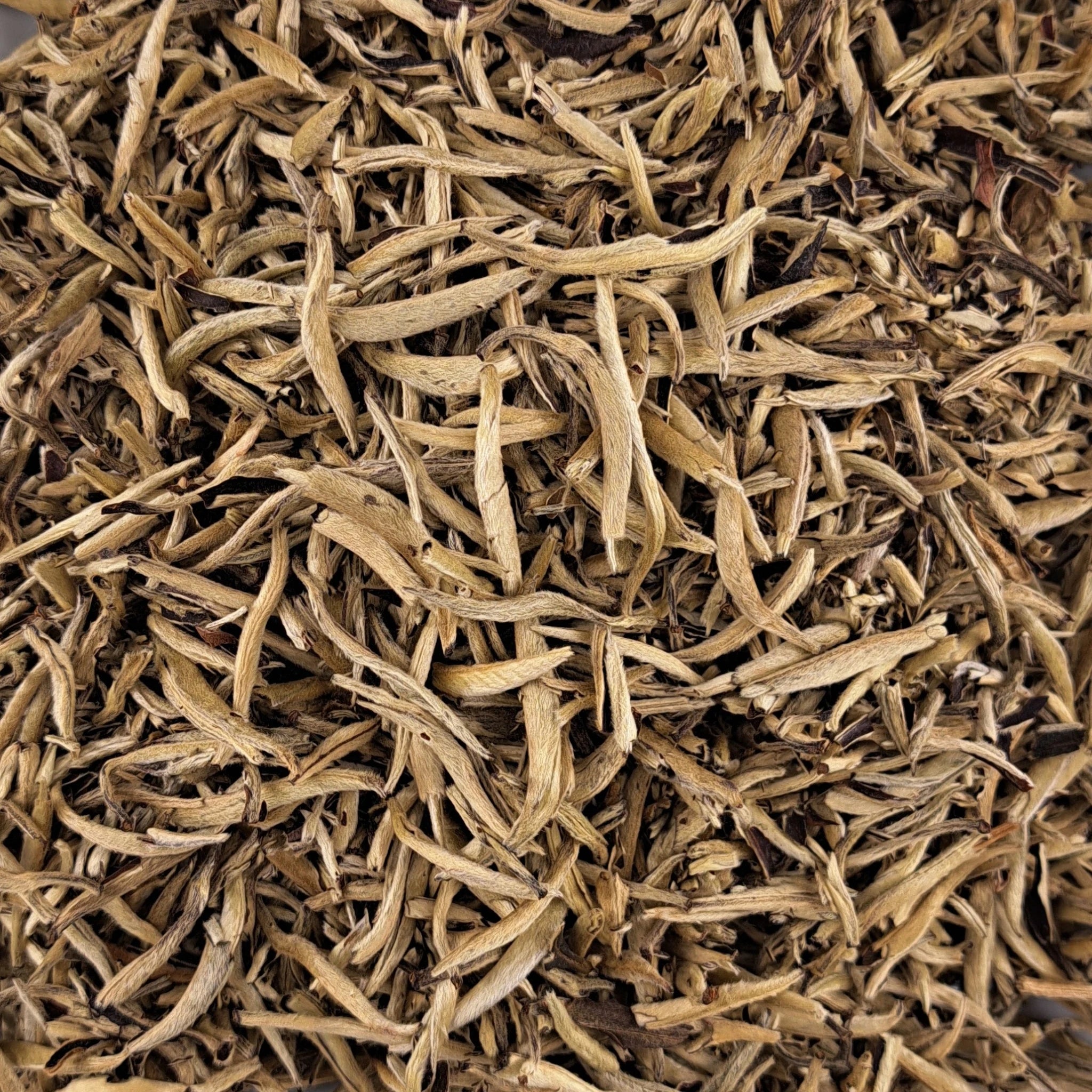 Thé blanc White Silver Needle Fuding Imperial – thé en vrac en gros plan