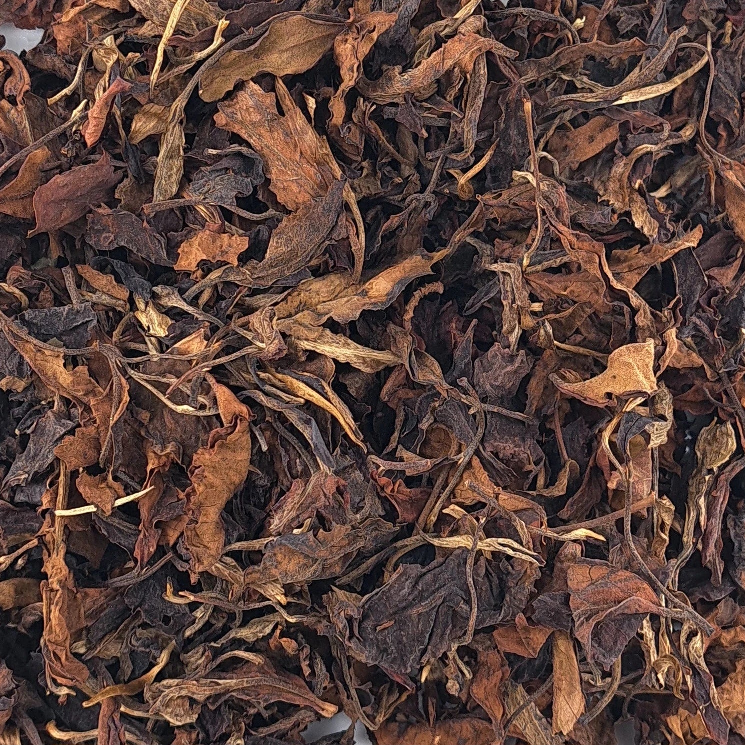 Thé blanc Yunnan White GABA – thé en vrac en gros plan