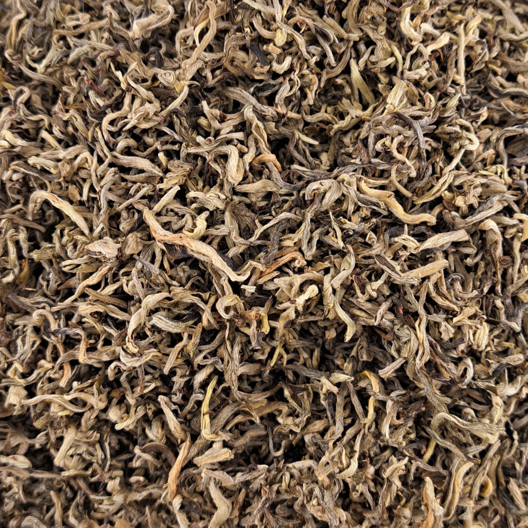 Thé blanc Snow Bud First Flush – thé en vrac en gros plan