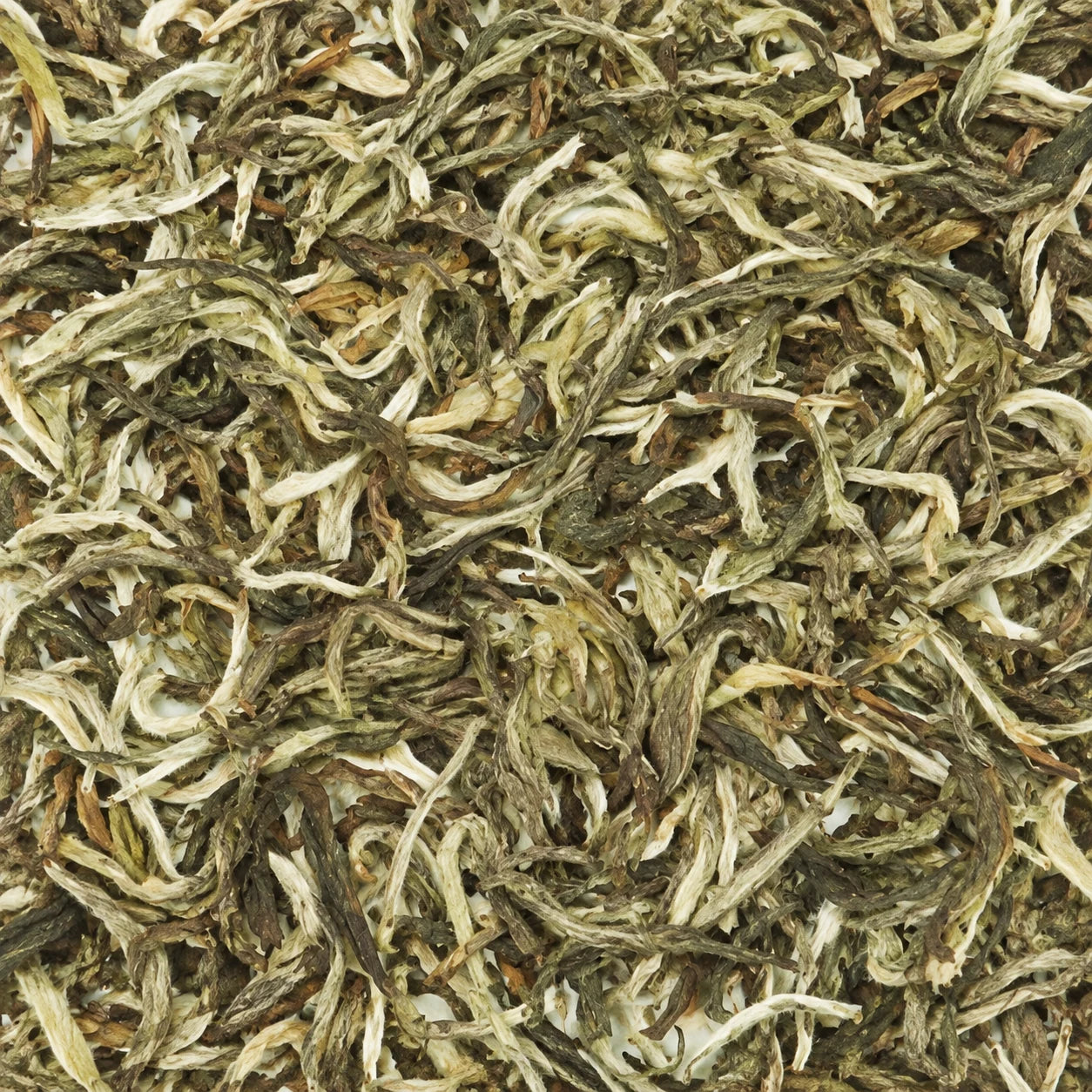 Thé blanc Himalaya Snow White BIO – thé en vrac en gros plan