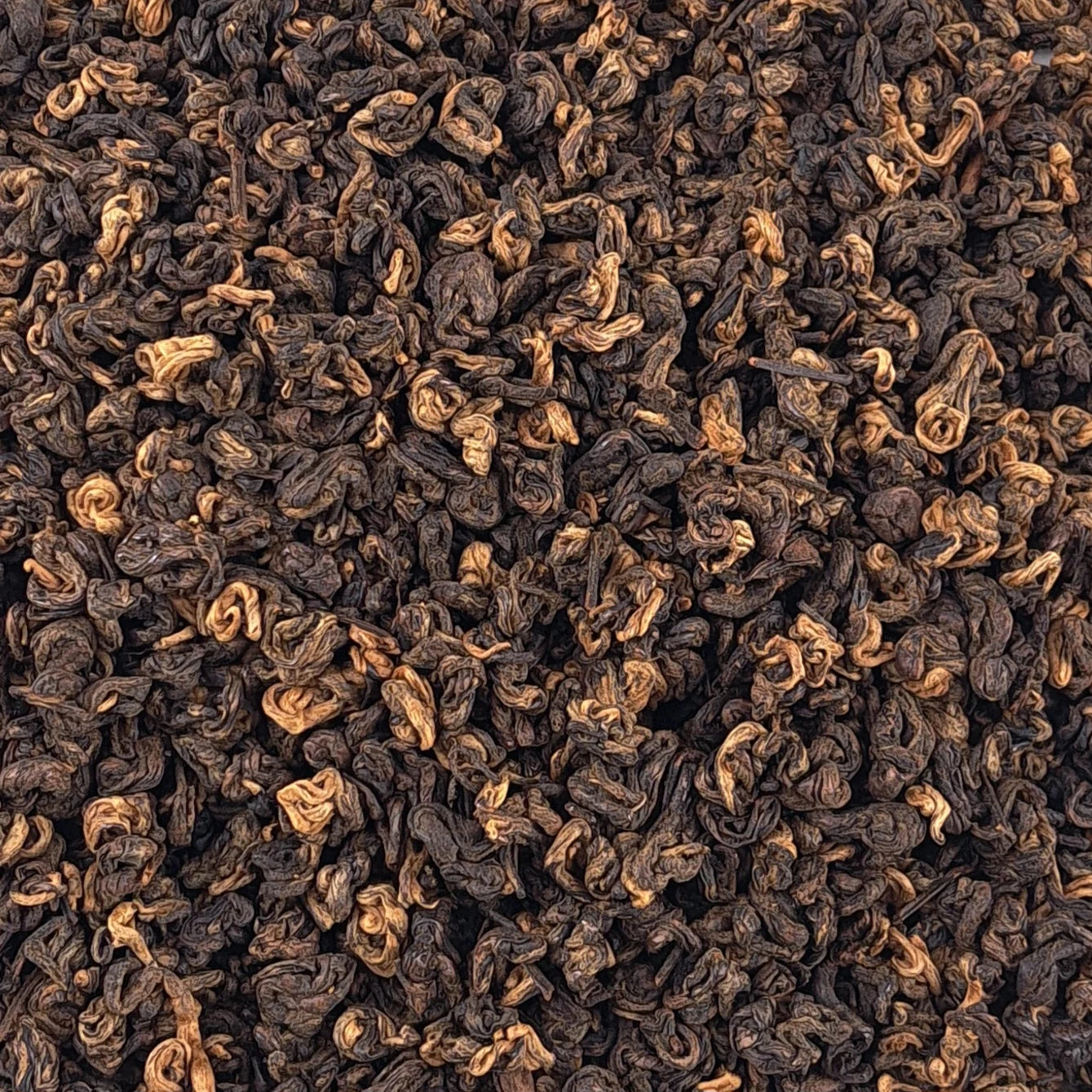 Thé noir Supreme Yunnan Golden Snail – thé en vrac en gros plan
