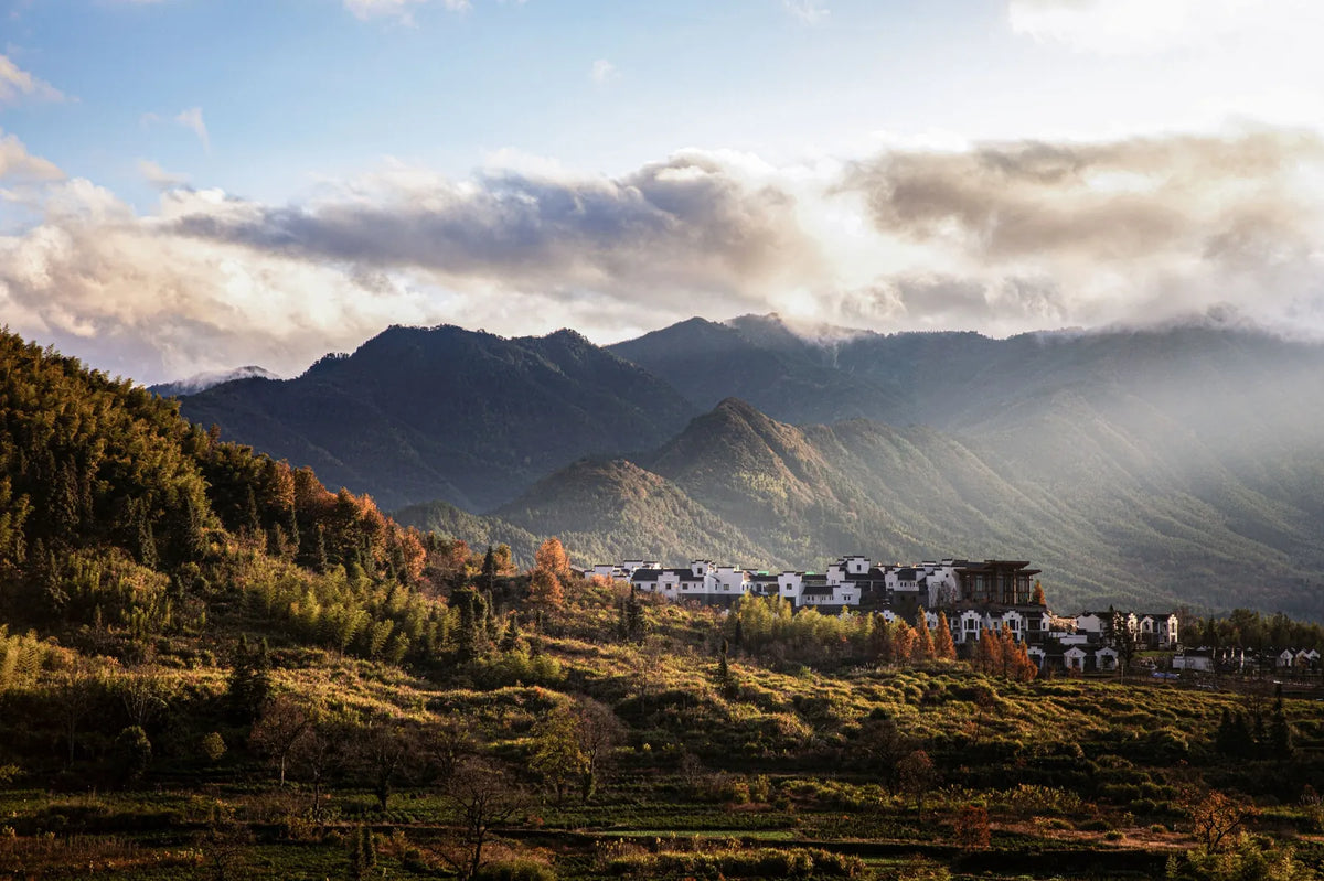 Anhui