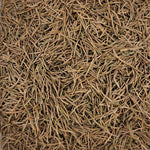 Tisane d’aiguilles d’épicéa Picea Abies Fraîches & cueillies à la main COUPÉES – thé en vrac en gros plan