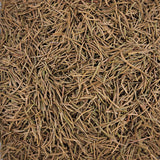 Tisane d’aiguilles d’épicéa Picea Abies Fraîches & cueillies à la main COUPÉES – thé en vrac en gros plan