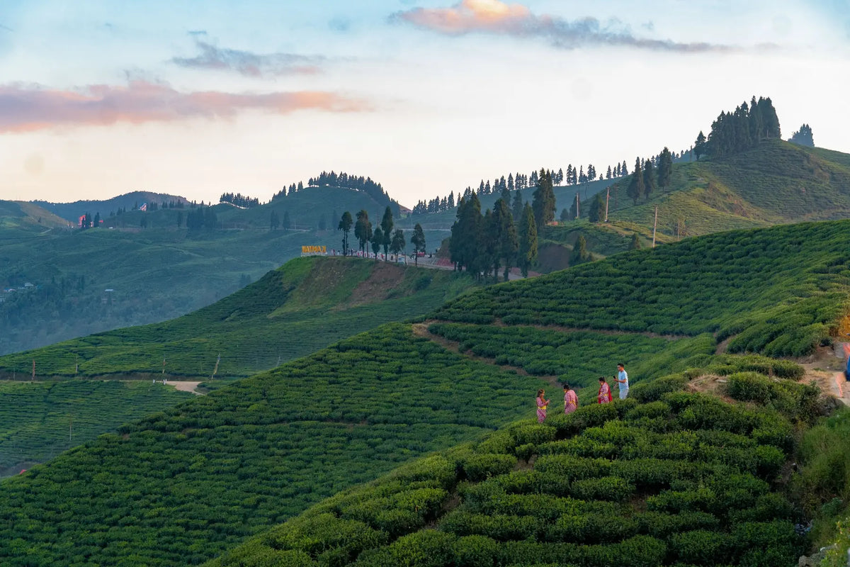 Ilam