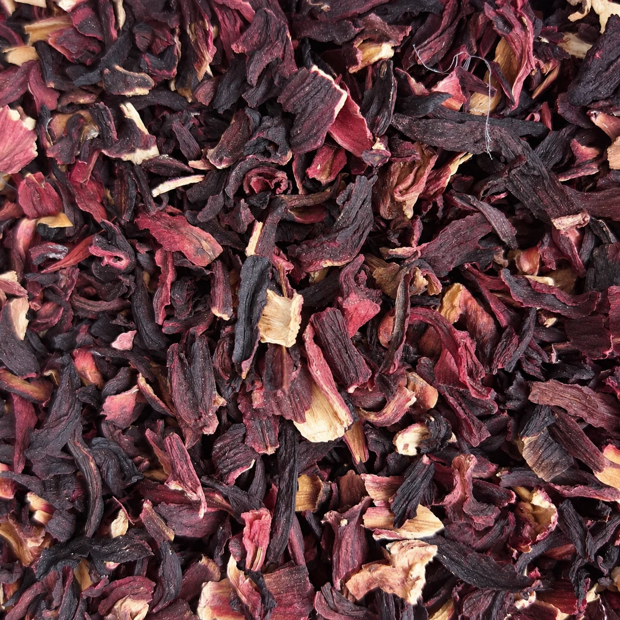 Tisane Hibiscus – thé en vrac en gros plan