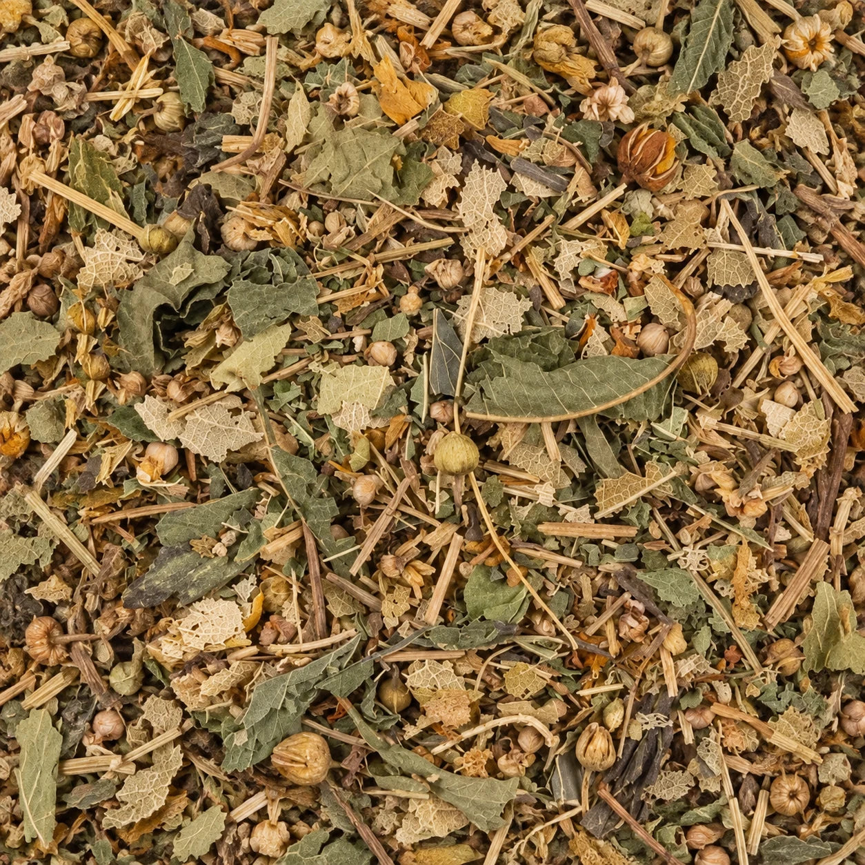 Infusion Tilleul - Menthe BIO – thé en vrac en gros plan