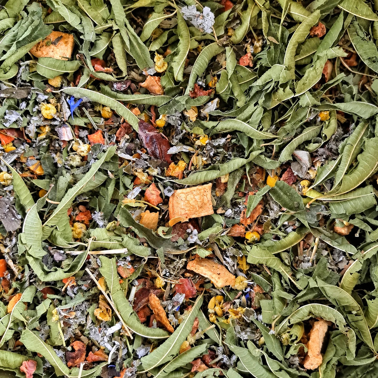 Tisane Nice Dreams BIO – thé en vrac en gros plan