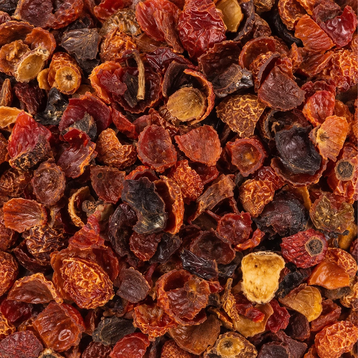 Tisane Églantier BIO – photo du produit
