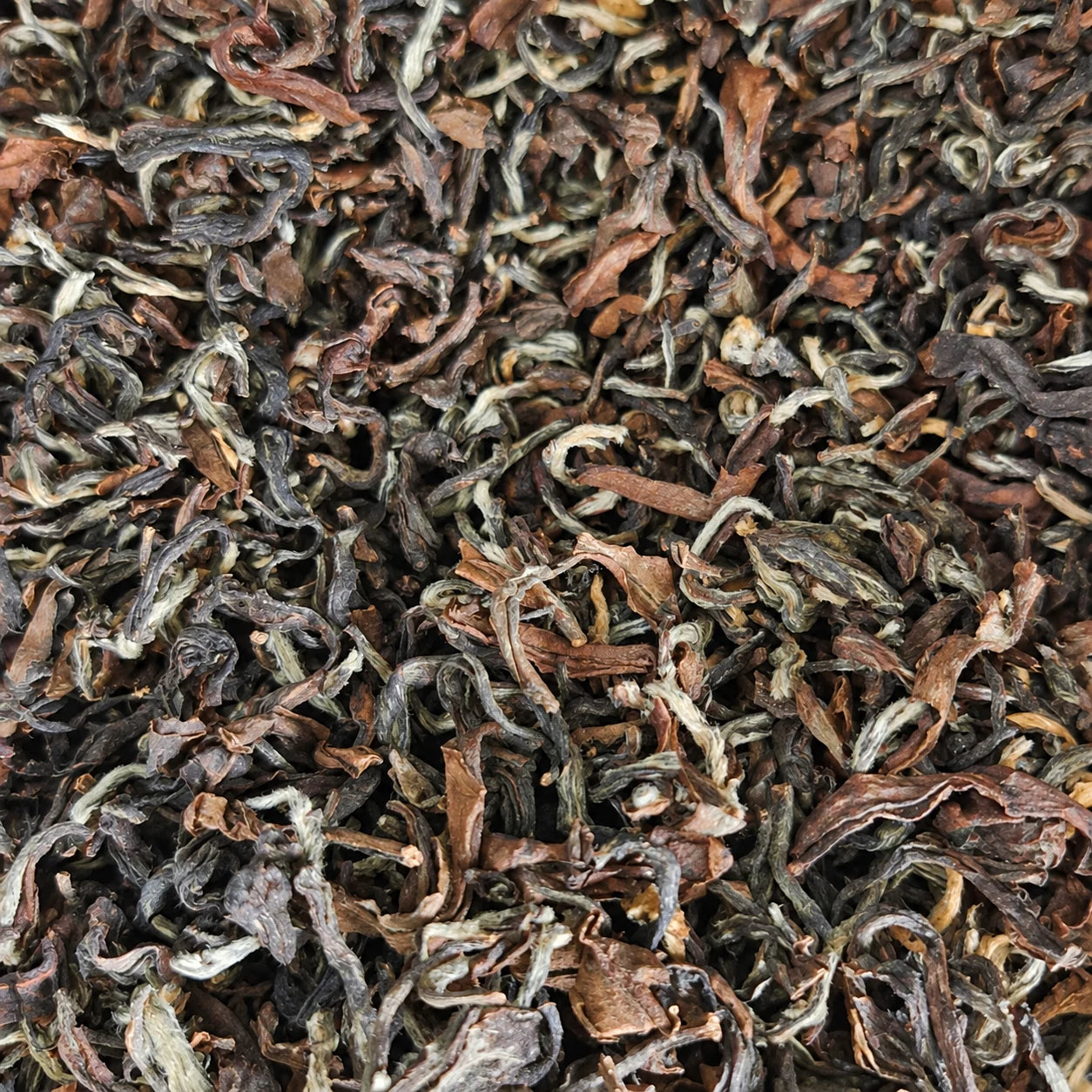 Thé oolong Himalaya Orange Mountains First Flush BIO – thé en vrac en gros plan