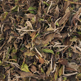 Thé blanc Fuding Bai Mu Dan - Sélection authentique – thé en vrac en gros plan