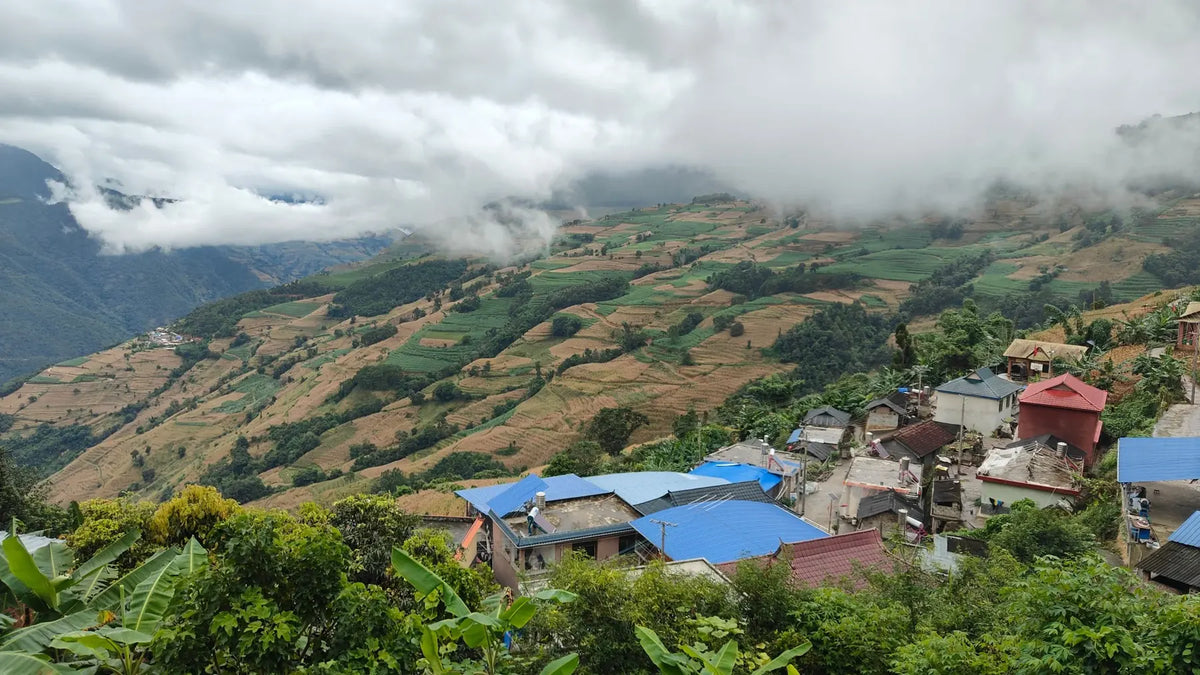 Yunnan